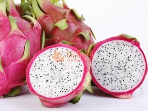 火龙果