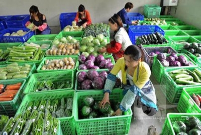 东莞小辣椒导航污污午夜福利配送公司