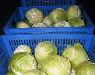 东莞小辣椒导航污污午夜福利配送
