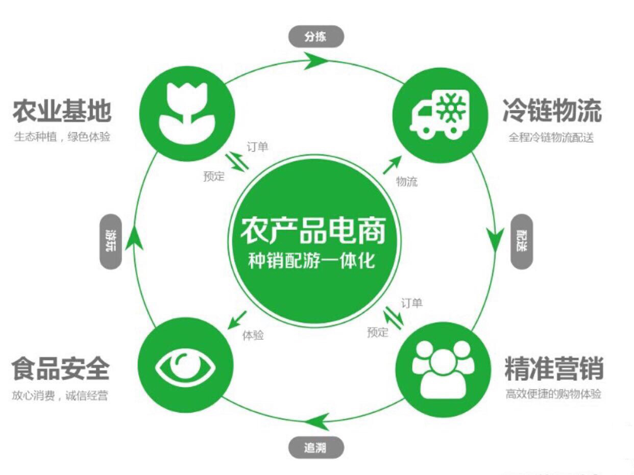 东莞小辣椒导航污污午夜福利配送